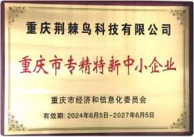 荣誉资质证书4